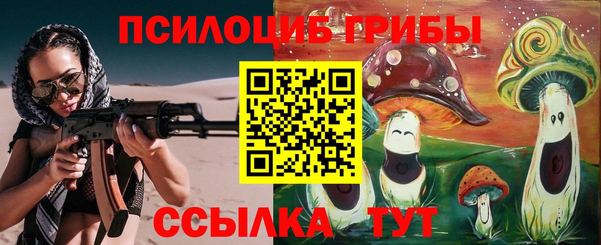 Галлюциногенные грибы прущие грибы Асино