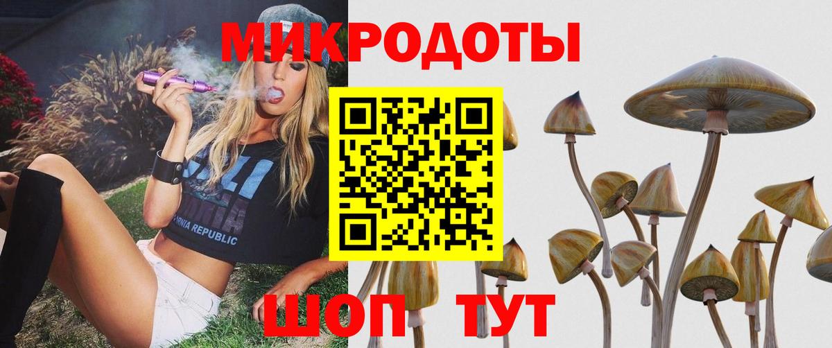 что такое наркотик  Галлюциногенные грибы Cubensis  Вход с VPN  Асино  Галлюциногенные грибы MAGIC MUSHROOMS 